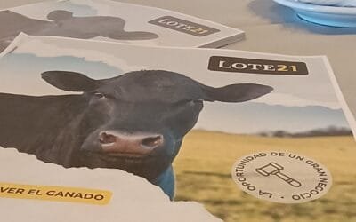 Con un buen clima para los negocios, Lote 21 cerró el remate 200.