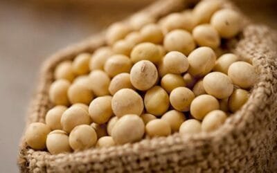 El Agro argentino en el mundo: Ranking mundial de exportaciones