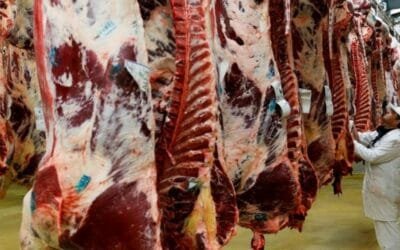 El precio de la carne bajó un 3,5 % en 2023, según el índice de la FAO