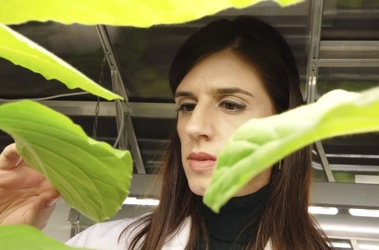 Seguridad alimentaria. La tecnología que revolucionará la agricultura: menos agua y 50% más rendimiento.