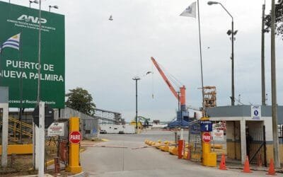 Puerto de Nueva Palmira prevé tráfico de 3 millones de toneladas de mineral de hierro en 2024