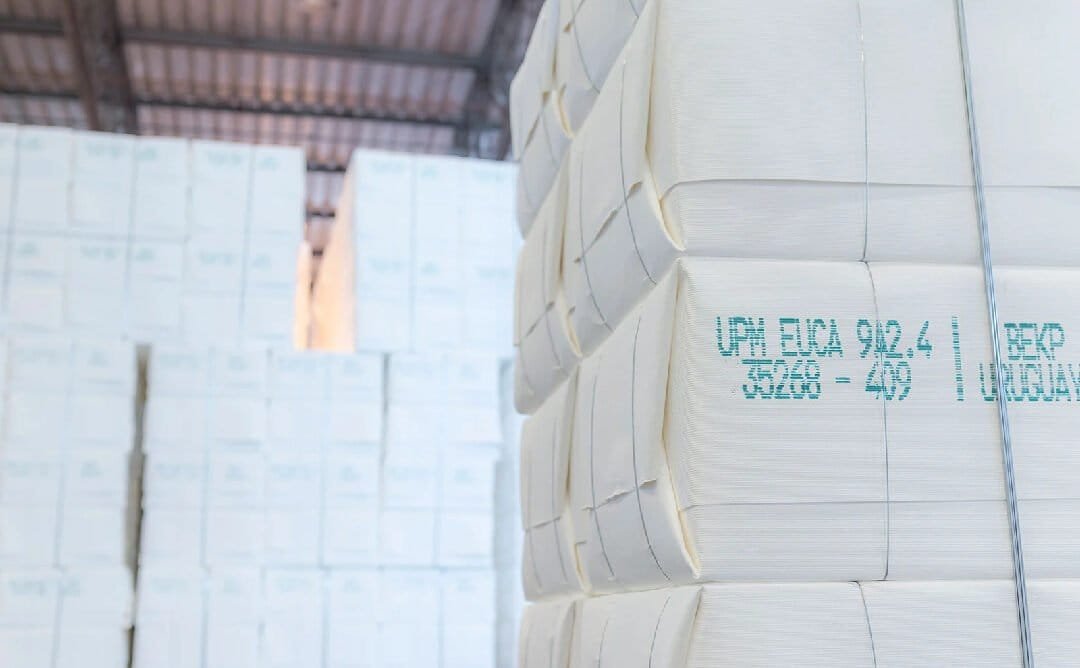 La celulosa se cotiza; mercado con expectativas para este año