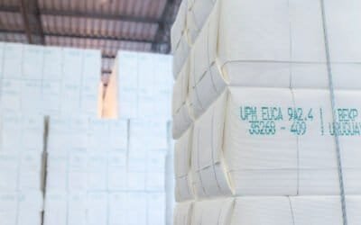 La celulosa se cotiza; mercado con expectativas para este año