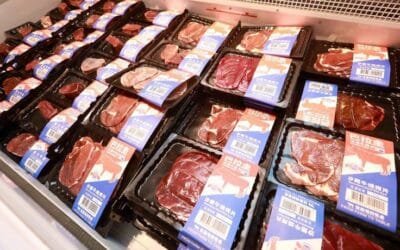 La faena de vacuno en Paraguay cayó 4,7 % en 2023 con respecto al año anterior