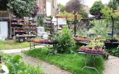 La agricultura urbana tiene una huella de carbono 6 veces mayor que la de los productos convencionales.