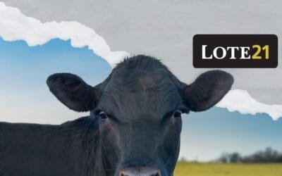 Con agilidad, importante colocación de Lote 21.