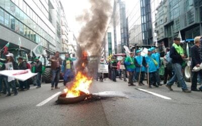 Tarde y ante la ola de protestas, la CE reconoce la importancia del agro europeo.