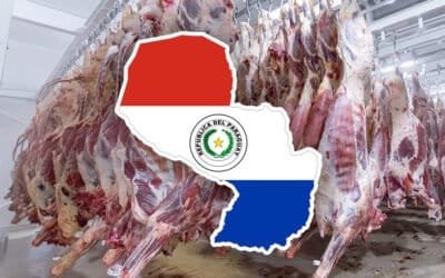 Paraguay oficializó su primer envío de carne de bovino a Estados Unidos