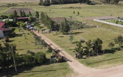 Canelones impulsa el turismo rural.