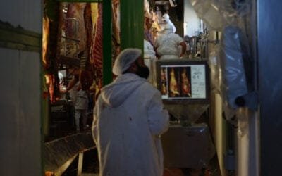 La tipificación del ganado comenzará a brindar imágenes