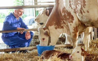 El 1° de febrero Conaprole retomará las jornadas de capacitación.