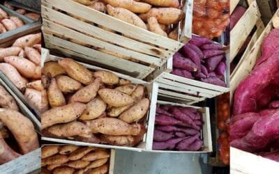 Estado del mercado de granja.