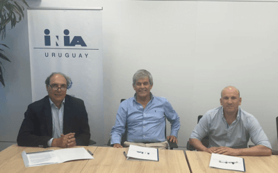 Merino Dohne firmó con INIA y el SUL, un acuerdo para el mejoramiento genético.