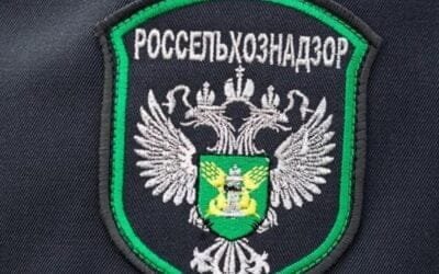 Brasil. Crecen las posibilidades de exportar carne vacuna y de ave a Rusia.