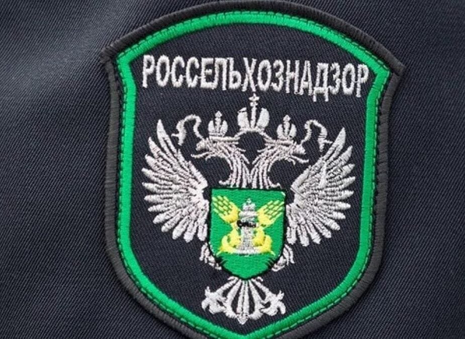 Brasil. Crecen las posibilidades de exportar carne vacuna y de ave a Rusia.