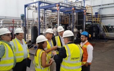 ALUR recolectará y reciclará aceite de cocina en Rocha