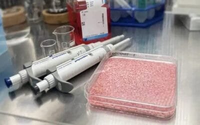 Científicos coreanos crean un arroz con carne incorporada.