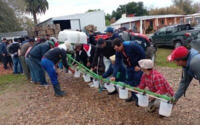 Carné de Aplicador ofrece mayor seguridad en el uso de estos productos en el sector granjero