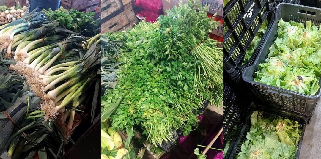 Hortalizas sufrieron la ola de calor.