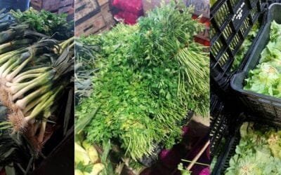 Hortalizas sufrieron la ola de calor.