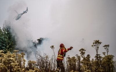 Prolongados periodos de sequía y calor son los causantes de múltiples incendios en Chile