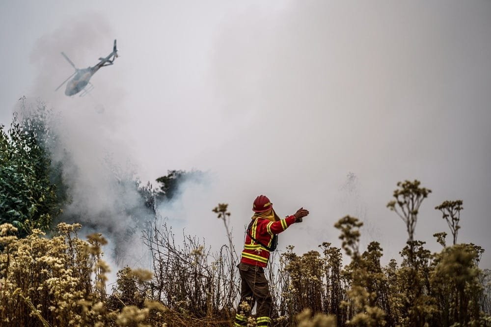 Prolongados periodos de sequía y calor son los causantes de múltiples incendios en Chile