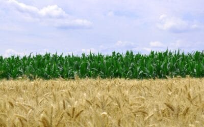 Valores de los productos agrícolas.