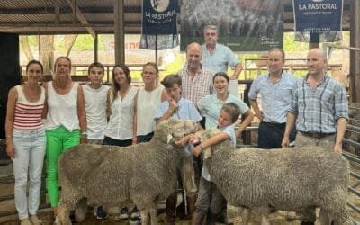 Los Merino Dohne de La Pastoral hicieron un máximo de US$ 1.500.