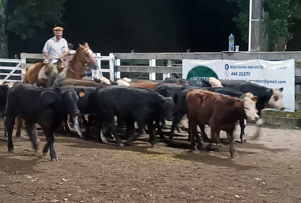Con Montero & Fernández, agilidad y buenos valores en el Campanero.