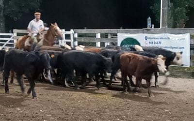 Con Montero & Fernández, agilidad y buenos valores en el Campanero.