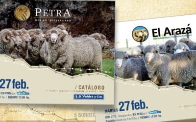 Cartelera de Valdez & Cía., hoy en Ansina, continúa con Petra y El Arazá.