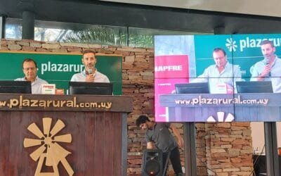 Hoy continúa el remate de Plaza Rural.