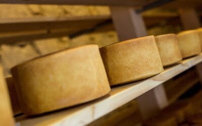 La Asociación del Queso Artesanal trabaja para fortalecer su presencia e institucionalidad.