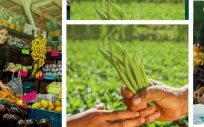 En los últimos años, el volumen del comercio mundial se incrementó en un 180%.