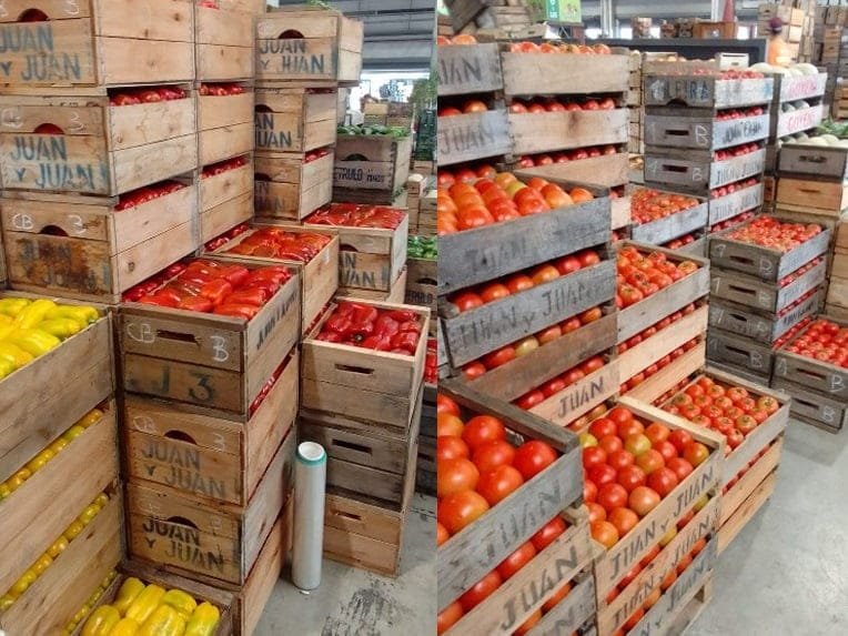 Mercado de granja: Descienden las cotizaciones de las hortalizas de fruto.