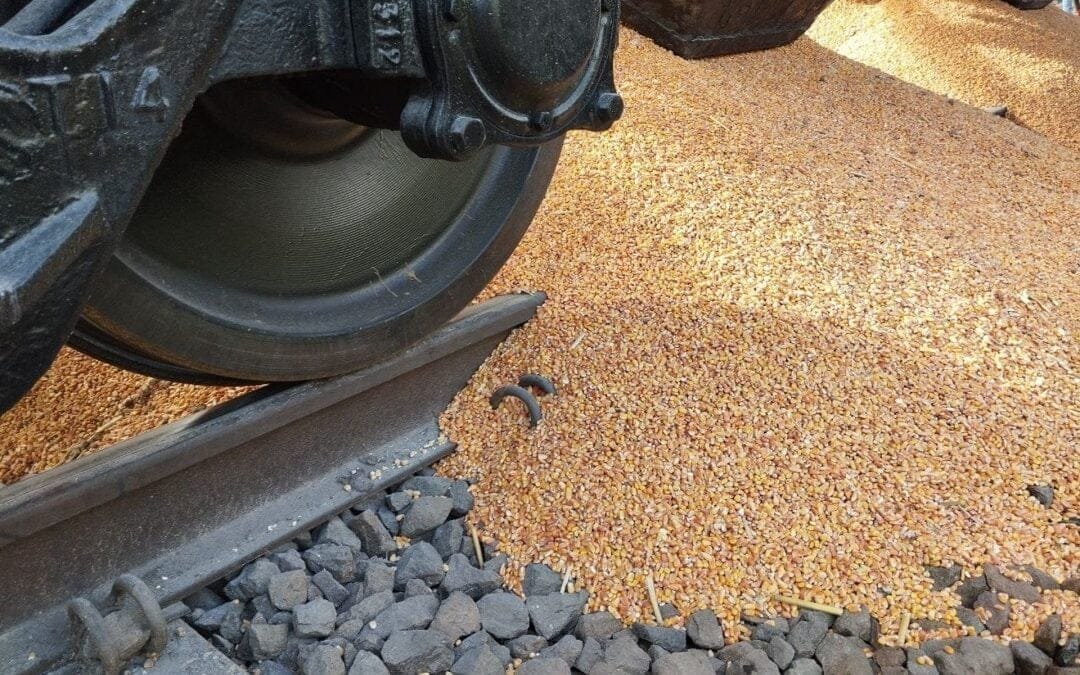 Agricultores polacos bloquean la frontera y no permiten el ingreso de granos ucranianos.