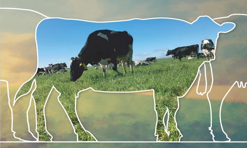 Salud de la ubre: Indicadores mensuales considerados en Unidad de Lechería de INIA La Estanzuela.