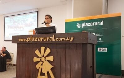 Plaza Rural vendió el 95% de la oferta.