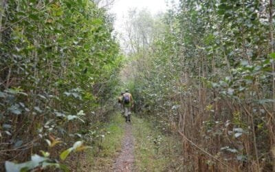 Ing. Bique de la Dirección Forestal presentó las oportunidades y los desafíos de las especies arbóreas nativas.