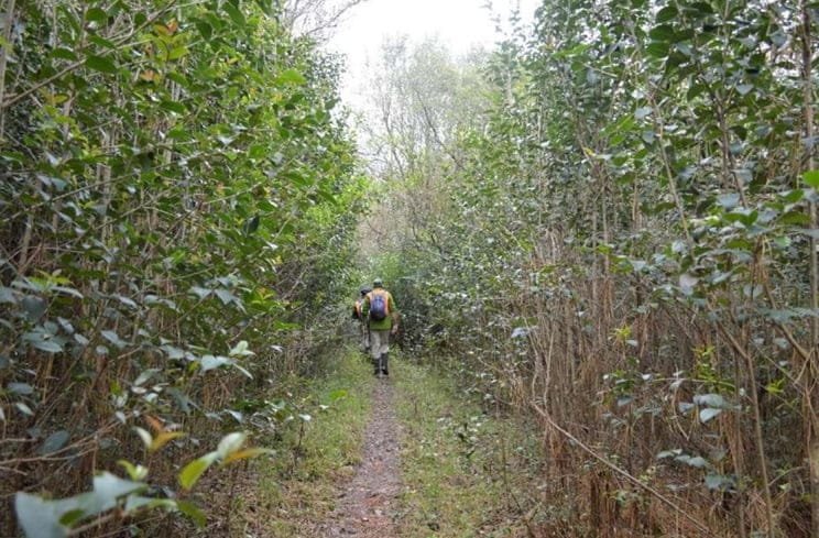 Ing. Bique de la Dirección Forestal presentó las oportunidades y los desafíos de las especies arbóreas nativas.