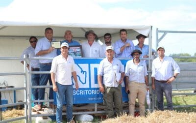 Exitosa liquidación del tambo Las Tubianas por parte de escritorio Di Santi.