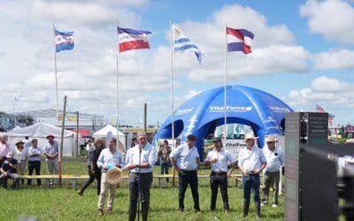 Mattos responde a gobernador de Brasil: “Queremos dejar bien claro que Uruguay no subsidia al sector lechero”