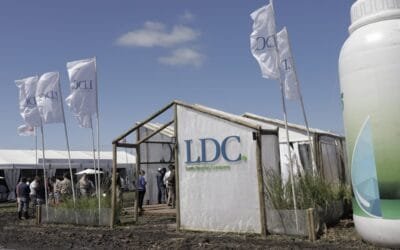 Louis Dreyfus Company lanza su programa de camelina en Uruguay.
