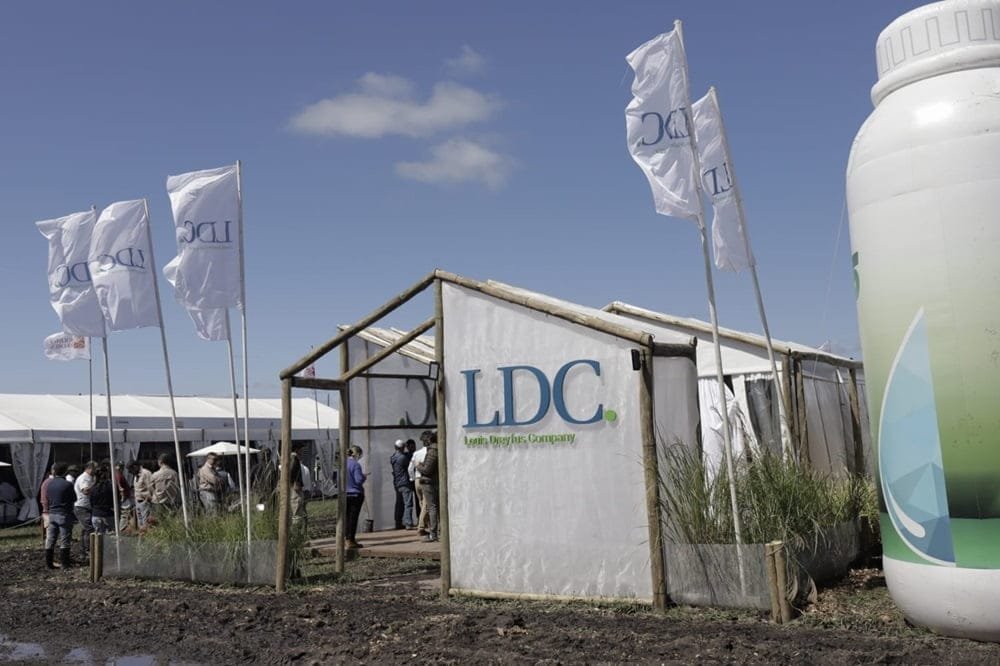Louis Dreyfus Company lanza su programa de camelina en Uruguay.