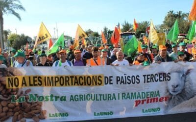 Gremio hortifrutícola español gana la pulseada a importantes puertos españoles.