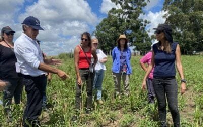 Mujeres rurales compartieron jornada sobre conservación del suelo y campo natural.