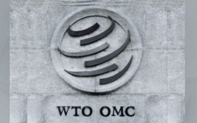 Paraguay encabeza reclamo ante la OMC por medidas que distorsionan el comercio.