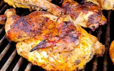 En 60 años se cuadruplicó la producción de carne a impuso de la avicultura.