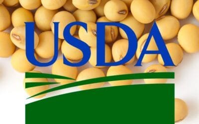 Cayeron los pronósticos de soja con aumento de las cotizaciones.