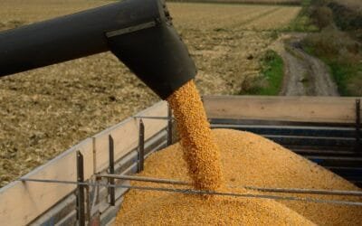 Actualización de los productos agrícolas.